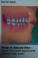 Brookline Orthodontics